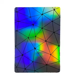 Rova Nano Neon Renkli Arka Koruyucu - 25'li Paket